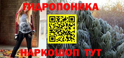 ешки Бийск