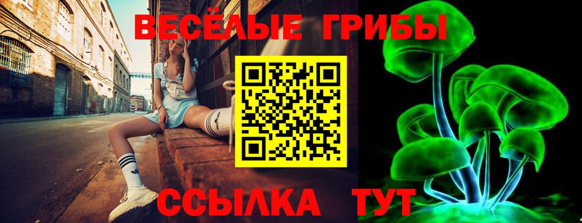 Псилоцибиновые грибы мицелий  Псилоцибиновые грибы прущие грибы  Вход с VPN  Карачаевск 