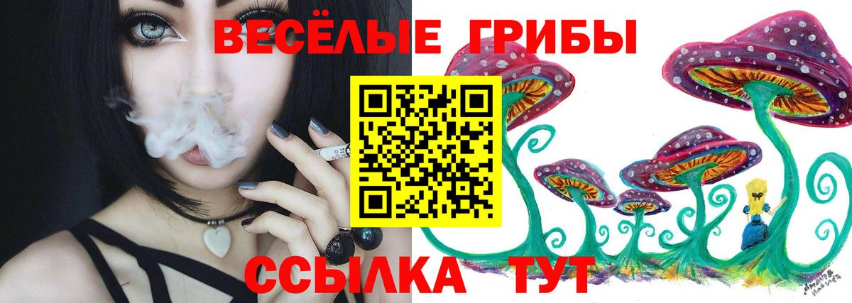 Галлюциногенные грибы ЛСД Карачаевск